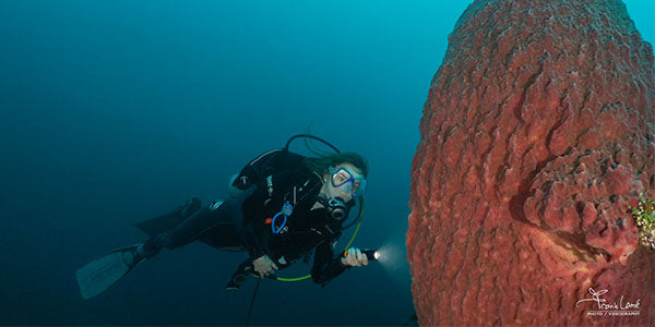 Underwater Footage Using GREEN LIGHTS! 