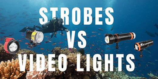 Dive Light or Underwater Strobe, that’s the question (or is it?)